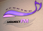 Дополнительное изображение конкурсной работы Радиохолдинг «Дайджест FM» 