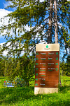 Дополнительное изображение конкурсной работы Комплексное оформление эко-отеля "Изумрудный лес"