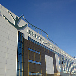 Дополнительное изображение конкурсной работы Оформление фасада "Центра художественной и эстетической гимнастики"