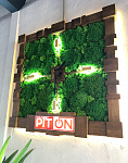 Дополнительное изображение конкурсной работы Часы с логотипом для офиса компании ПИТОН.