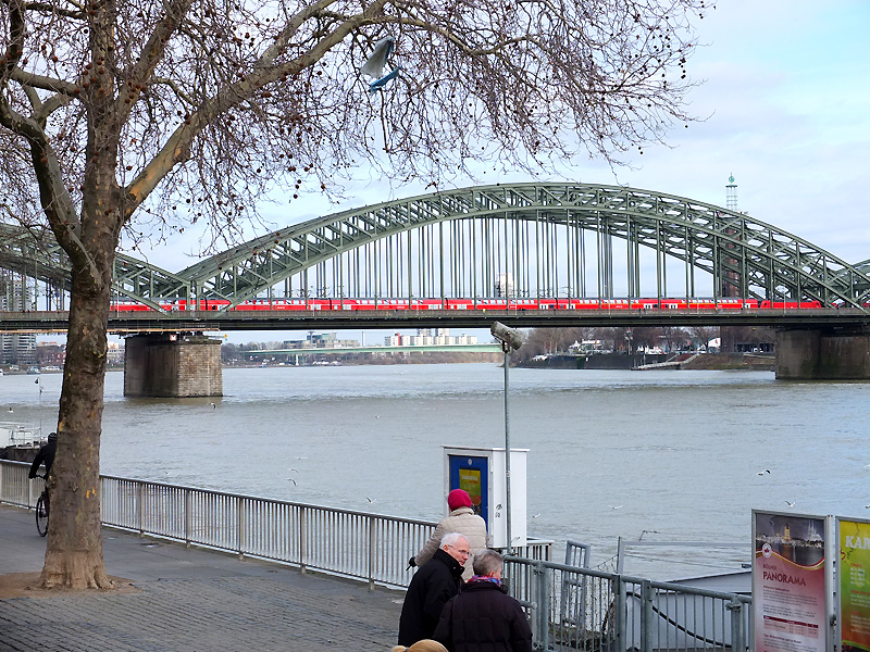 Cologne-3.jpg