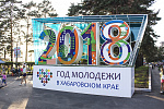 Дополнительное изображение работы 2018 Год молодежи в Хабаровском крае