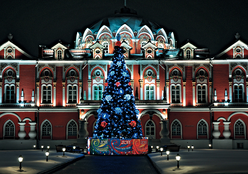 Новогодняя ель у Путевого дворца в Москве.