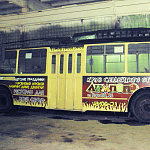 Дополнительное изображение работы Оформление троллейбусов "Лимпопо"
