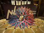 Дополнительное изображение конкурсной работы Оформление бизнес мероприятия в Абу-Даби для компании NL