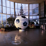 Дополнительное изображение конкурсной работы мяч Балтика