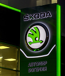 Дополнительное изображение работы Оформление автосалона Skoda
