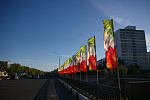 Дополнительное изображение работы Флаги над Челнами