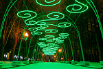 Дополнительное изображение работы Световое небо в парке "Измайловский"