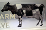 Дополнительное изображение работы Интерьерная вывеска для компании Form farm creativ